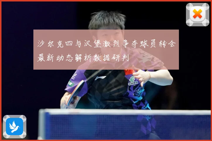 沙尔克四与汉堡激烈争夺球员转会最新动态解析数据研判