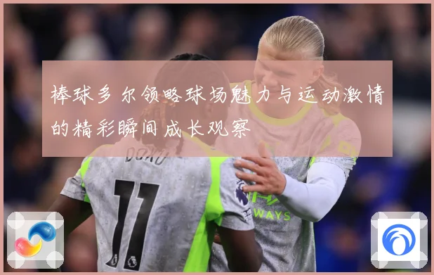 棒球多尔领略球场魅力与运动激情的精彩瞬间成长观察