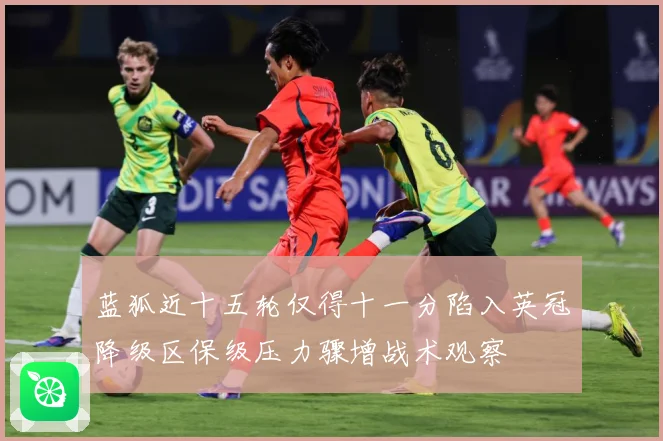 蓝狐近十五轮仅得十一分陷入英冠降级区保级压力骤增战术观察