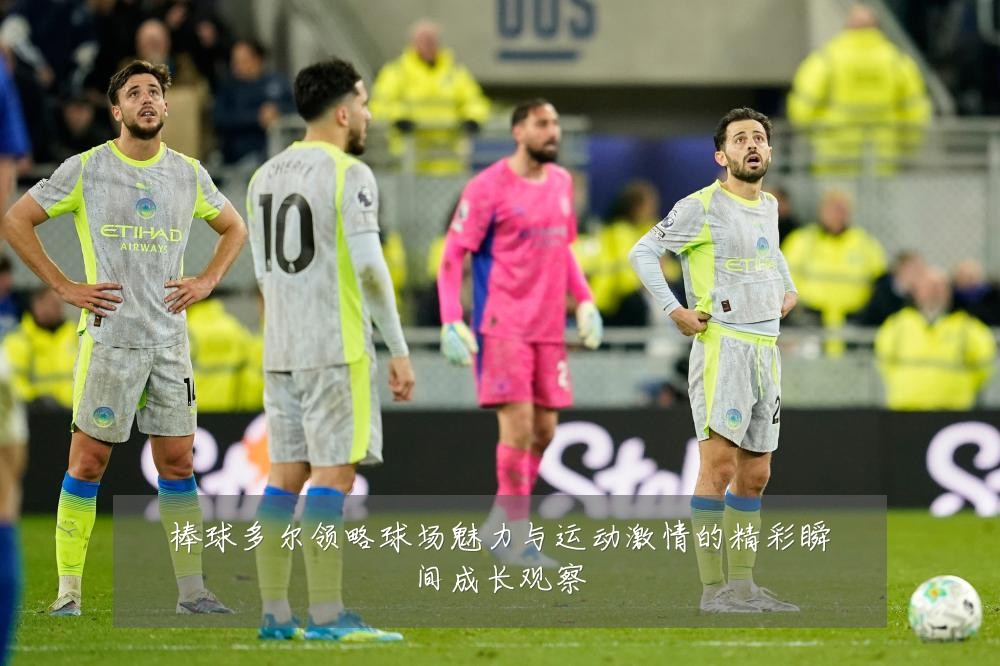 棒球多尔领略球场魅力与运动激情的精彩瞬间成长观察
