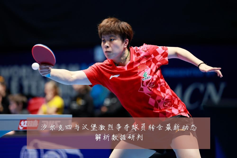 沙尔克四与汉堡激烈争夺球员转会最新动态解析数据研判